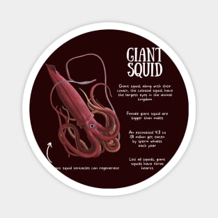 Animal Facts - Giant Squid Magnet